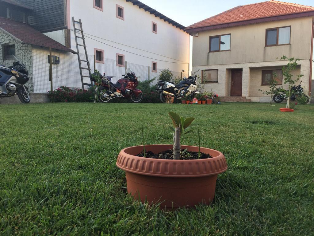 Hotel Casa Noastra Vama Veche Exteriér fotografie